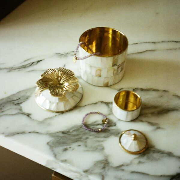 Κουτί Hailey Hibiscus Circus – Pearly, 13x9x9