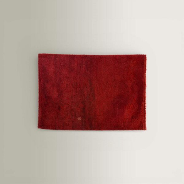 Χαλί TA062BE - Κόκκινο, 290x195